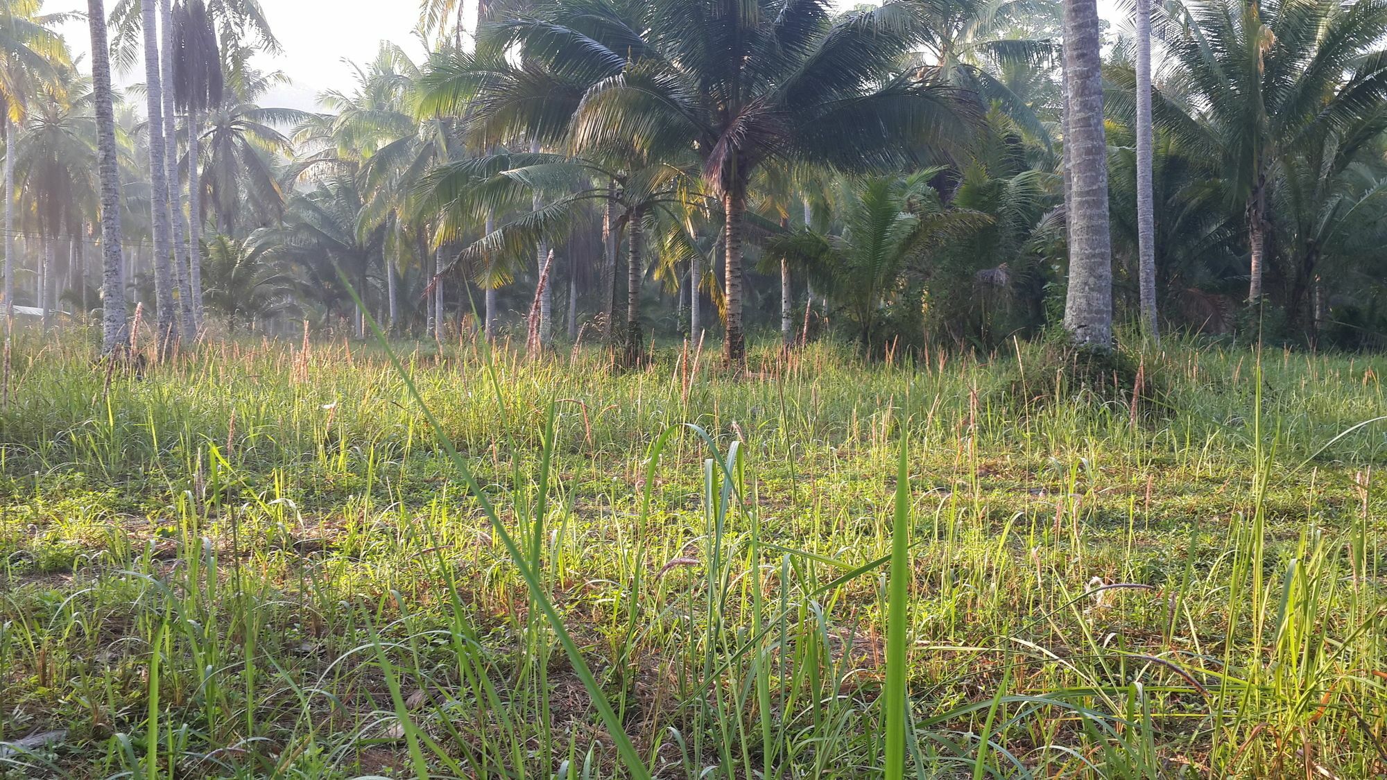 Baan Phuean Koh Kood 호텔 Ko Kut 외부 사진