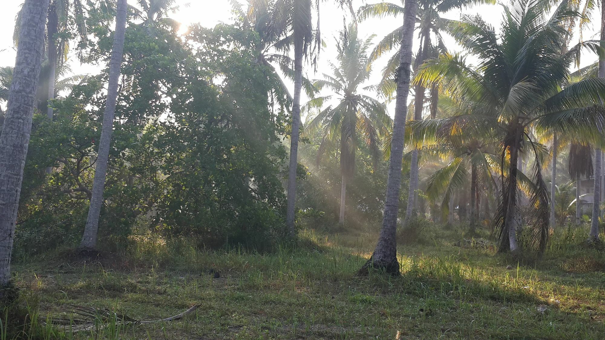 Baan Phuean Koh Kood 호텔 Ko Kut 외부 사진